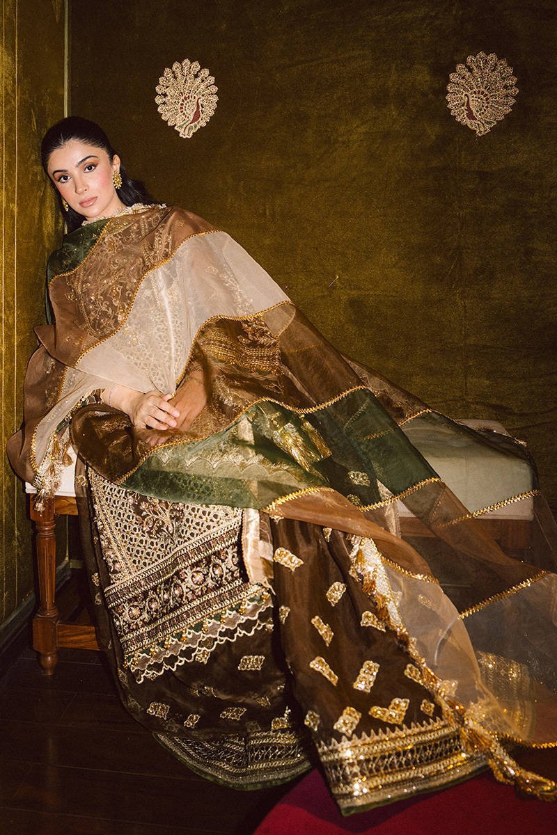 Mohsin Naveed Ranjha Tabeer Embroidered Organza Party Wear Suit - Designer Photoshoot Gallery Angle 12 | IQNAZ Couture