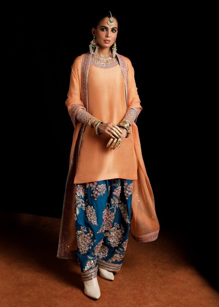 Hussain Rehar Hand Embellished Organza Party Wear Suit - Model Front Look | Pakistani Designer Replica Wholesale | IQNAZ