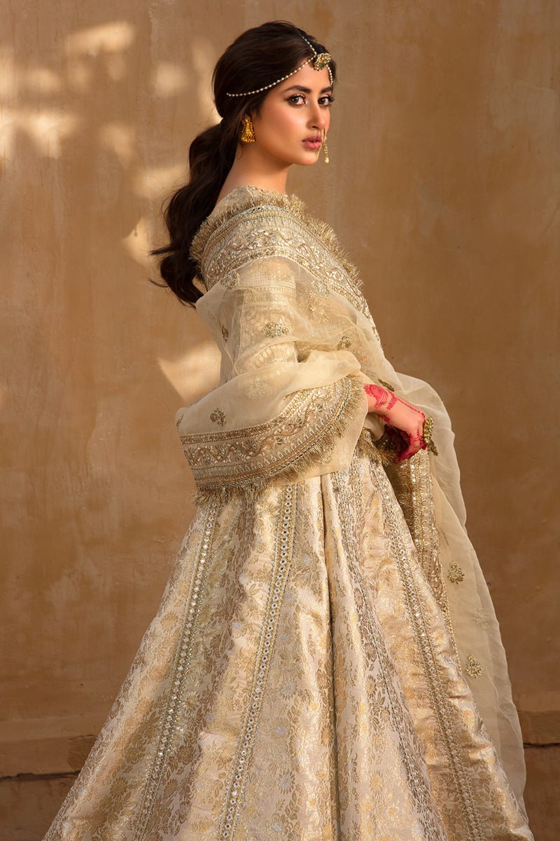 Qalamkar Afsanah Embroidered Organza Party Wear Suit – Photoshoot Angle 6 Qalamkar Afsanah Embroidered Organza Party Wear Suit - Designer Photoshoot Gallery Angle 6 | IQNAZ Couture
