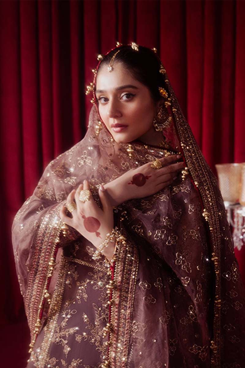 Hussain Rehar Dil Nasheen Embroidered Organza Party Wear Suit - Four-Sided Embroidered Dupatta & Pallu Border | IQNAZ