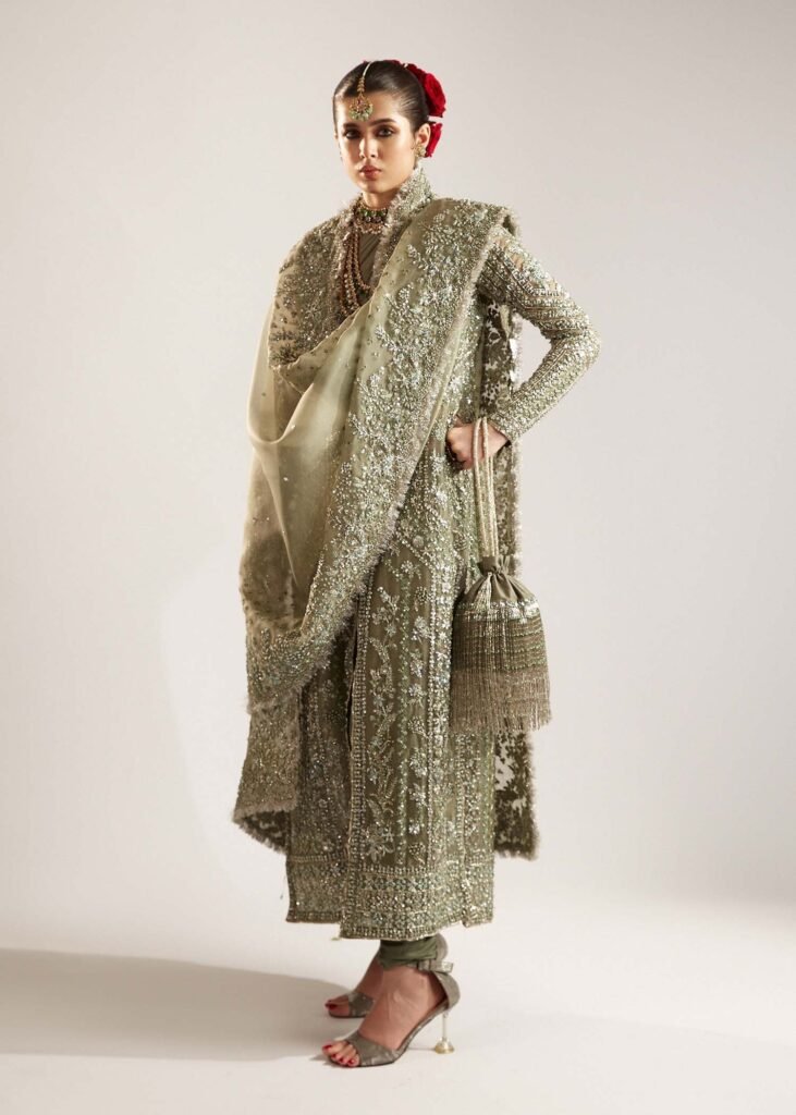 Hussain Rehar Jadeite Embroidered Organza Party Wear Suit - Model Front Look | Pakistani Designer Replica Wholesale | IQNAZ