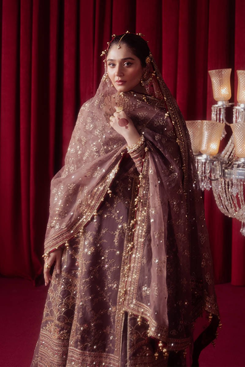 Hussain Rehar Dil Nasheen Embroidered Organza Party Wear Suit - Matching Bottom & Trouser Fabric Details | IQNAZ