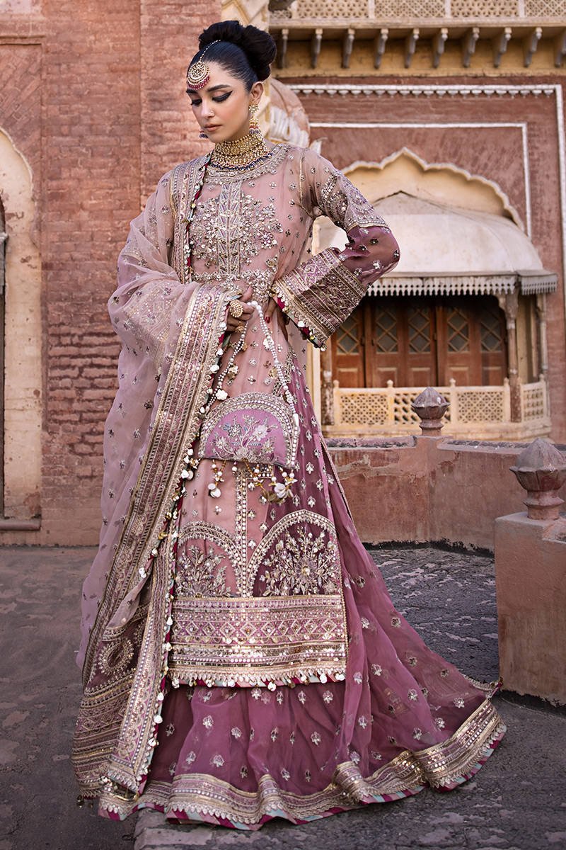 Mohsin Naveed Ranjha Aarzoo Embroidered Organza Party Wear Suit - Embroidered Back & Daman Silhouette Detailing | IQNAZ