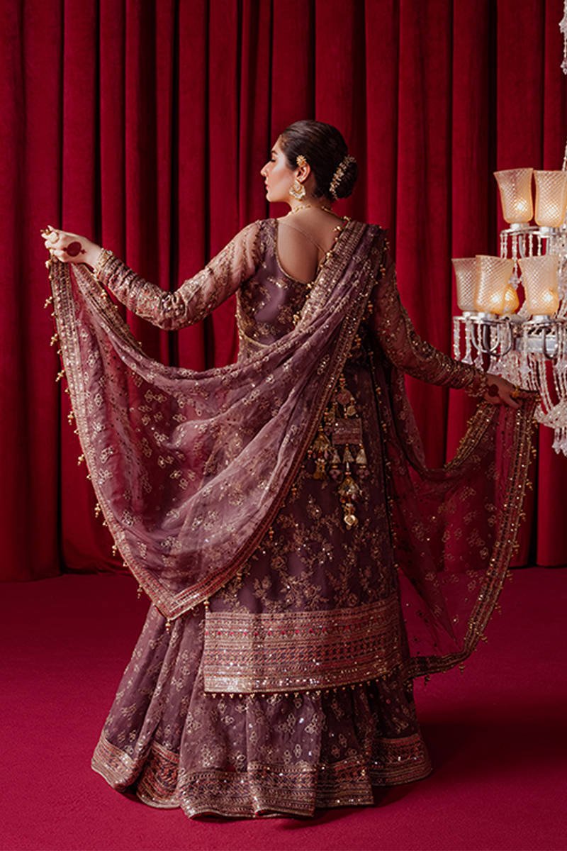 Hussain Rehar Dil Nasheen Embroidered Organza Party Wear Suit - Close-Up Hand Embellishment Tilla & Pearl Work | IQNAZ