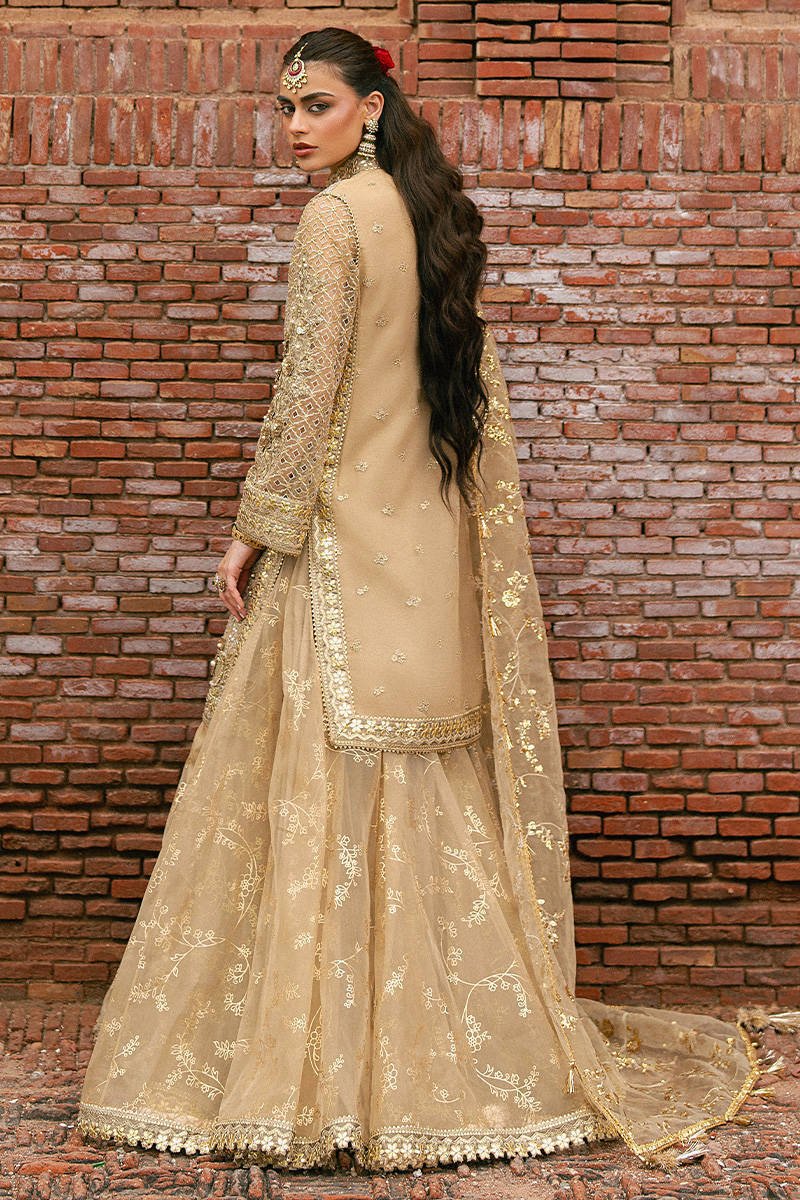 Mohsin Naveed Ranjha Roshni Embroidered Organza Party Wear Suit – Photoshoot Angle 11 Mohsin Naveed Ranjha Roshni Embroidered Organza Party Wear Suit - Designer Photoshoot Gallery Angle 11 | IQNAZ Couture