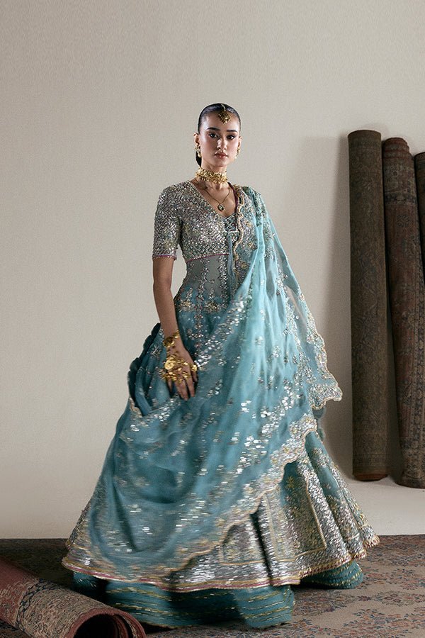 Suffuse Iris Couture Anaira D Hand Embellished Organza Party Wear Suit - Embroidered Back & Daman Silhouette Detailing | IQNAZ
