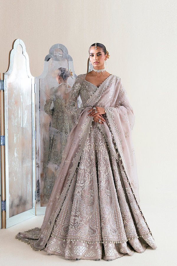 Suffuse Iris Couture Ayat D Hand Embellished Organza Party Wear Suit - Model Front Look | Pakistani Designer Replica Wholesale | IQNAZ