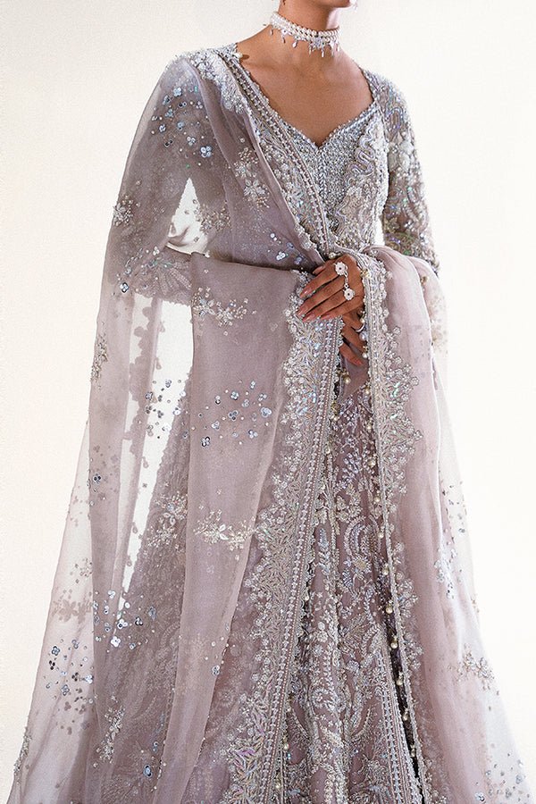 Suffuse Iris Couture Ayat D Hand Embellished Organza Party Wear Suit - Embroidered Back & Daman Silhouette Detailing | IQNAZ