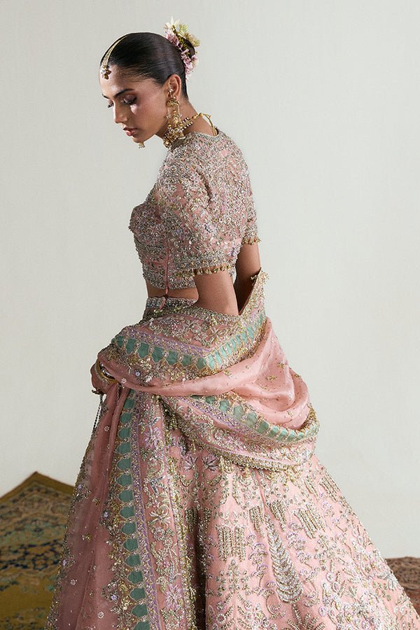 Suffuse Iris Couture Zaleh D Hand Embellished Organza Party Wear Suit – Back View & Silhouette Suffuse Iris Couture Zaleh D Hand Embellished Organza Party Wear Suit - Embroidered Back & Daman Silhouette Detailing | IQNAZ